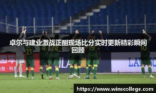 3377体育官网
